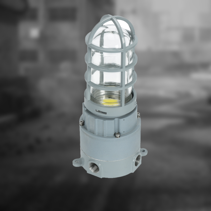 Explosion Proof Light for Flammable and Explosive Environment