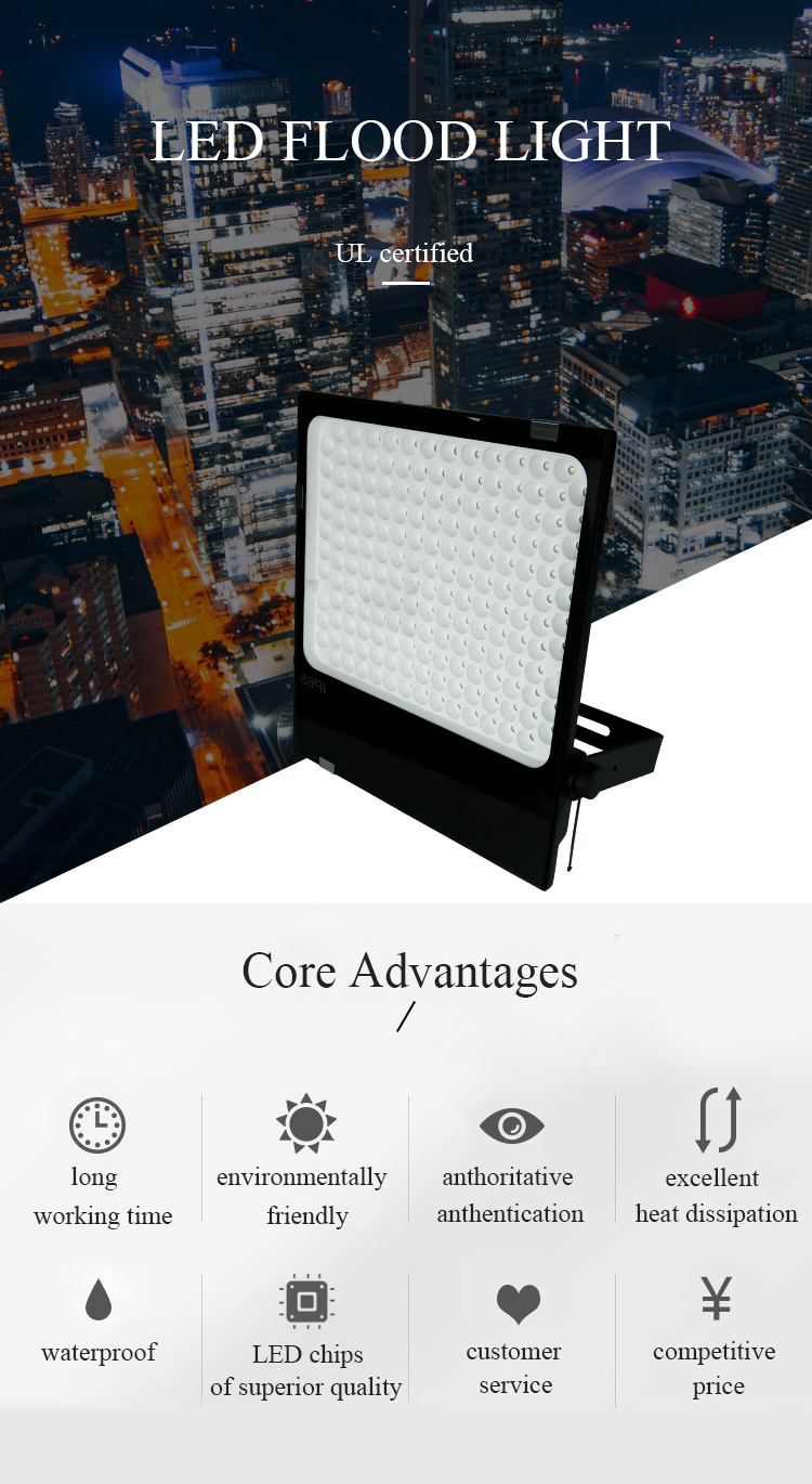 LED outdoor light