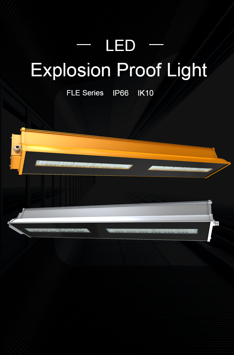 Pan American Explosion Proof Light FLE Series