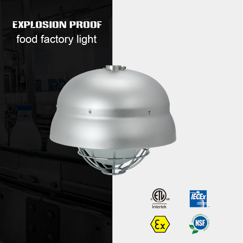 Pan American Pantry Leeds Sheffield Surgery Led Explosion Proof Food Light 20w Lighthouse Food Bank For Wholesale