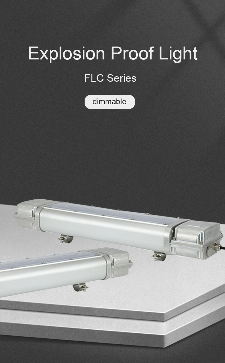 Pan American Explosion Proof Light FLC Series
