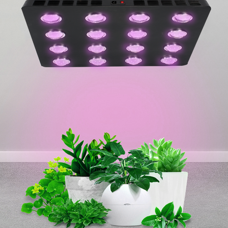 Pan American LED Grow Light