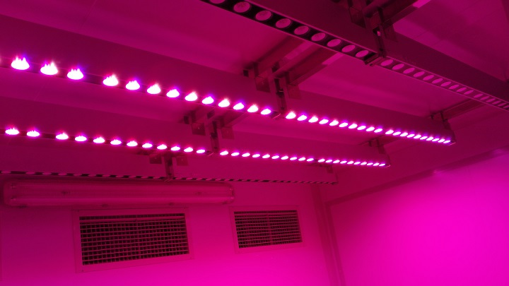 Pan American LED Grow Light