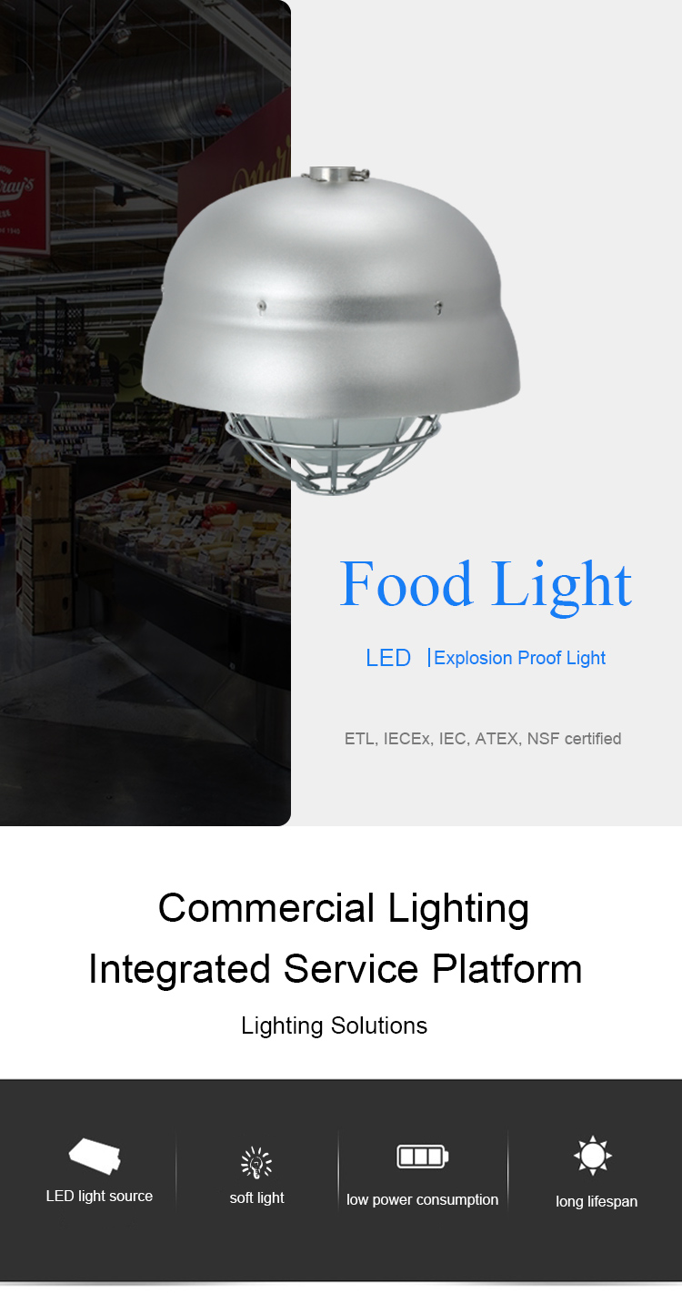 Pan American led food light